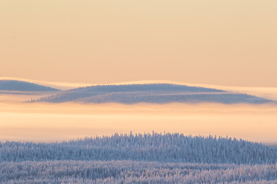 Golden fog during sunrise above winterly landscape with snow covered forest in Northern Finland, Europe