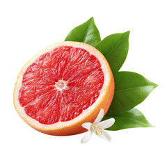 grapefruit slice with leaves and flower on white background.