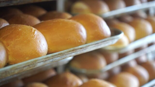 A lot of ready-made fresh bread in a bakery oven in a bakery. Bread making business. Fresh bread from cereals with seeds from a bakery. Healthy and nutritious food. The product contains carbohydrates.