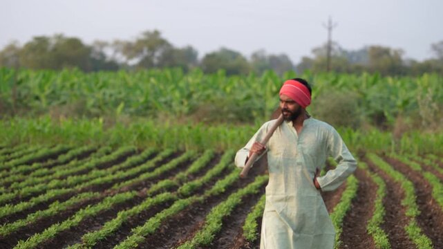 young indian farmer holding farming tool standing at groundnut or peanut agriculture field	