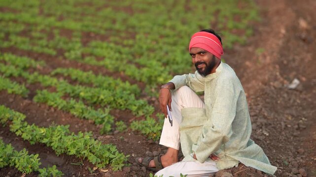 young indian farmer sitting at green peanut field