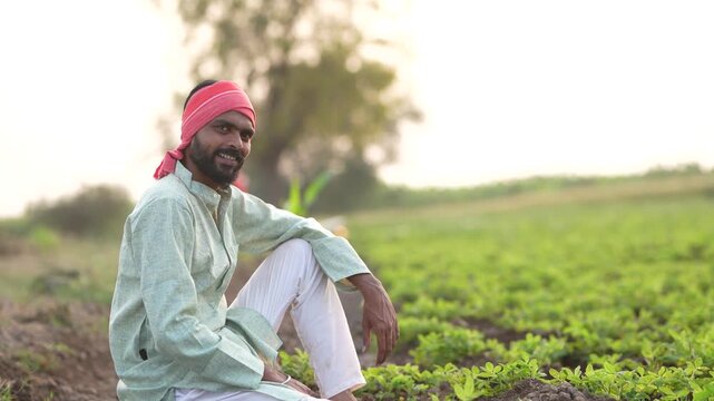 Happy indian farmer sitting at green peanut or groundnut agriculture field 