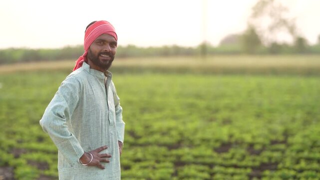 happy young indian farmer standing at green groundnut or  peanut agriculture farm	