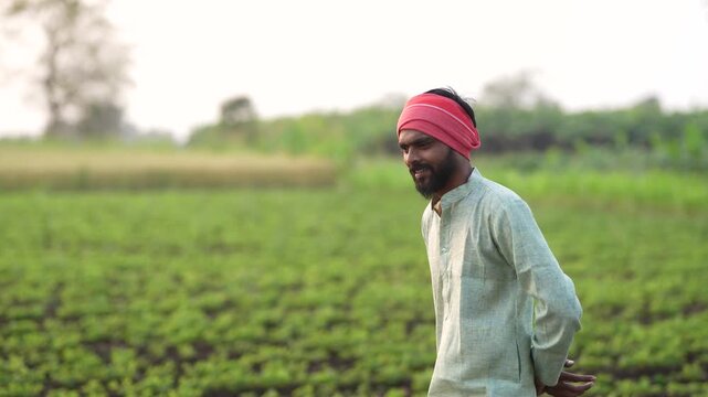 happy young indian farmer standing at green groundnut or  peanut agriculture farm	