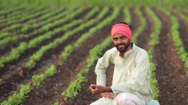 Happy indian farmer sitting at green peanut or groundnut agriculture field 