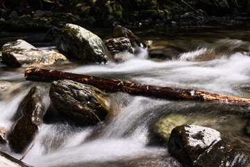 【くらがり渓谷】渓流の流れに逆らう流木 © sigemin