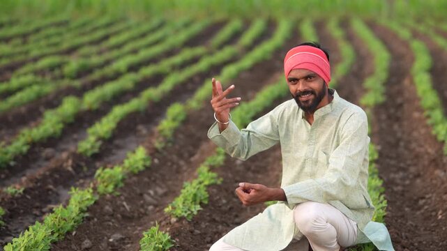 Happy indian farmer sitting at green peanut or groundnut agriculture field 