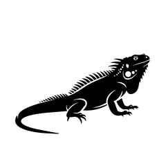 Fototapeta premium A sleek black silhouette of a lizard standing on a plain background