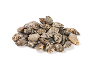 Obraz premium fresh clams ,the raw seafood ingredients isolated on white background