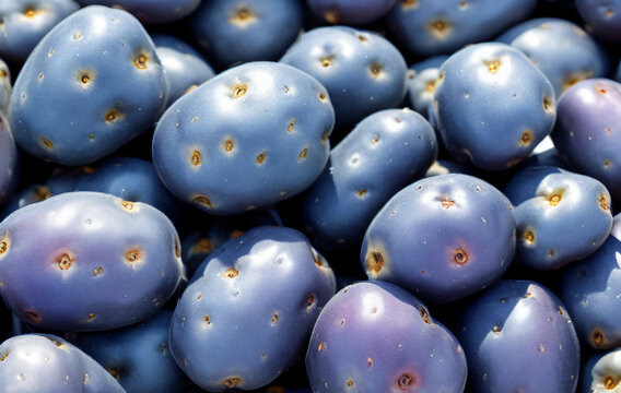 Purple Potatoes