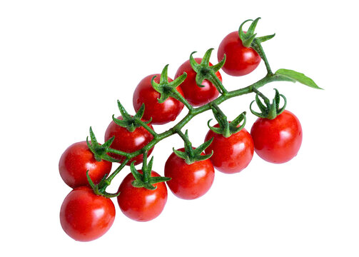 Fresh cherry tomatoes on vine isolated on transparent background for food design