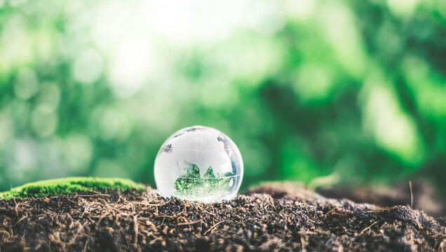 Crystal globe placed on ground. Concept for environment. Society and Governance sustainable global environment concept