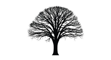 A solitary bare tree stands prominently against a bright white backdrop presenting a striking silhouette high quality professional detailed © Pvect02