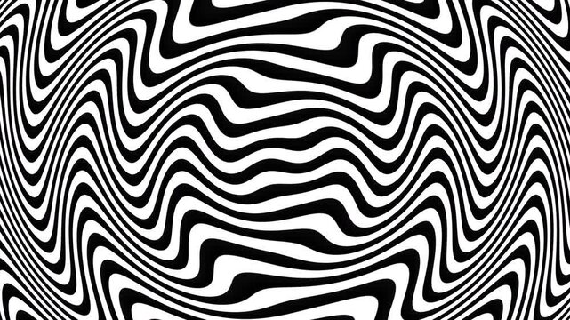 Abstract background with black and white stripes. Seamless loop . Ripple effect