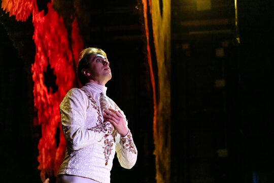 Ballet soloist performing as prince on stage, waist-up portrait