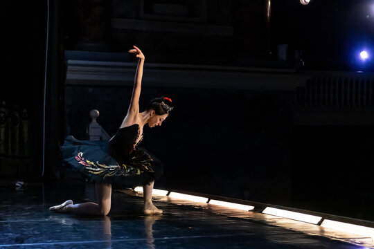 Ballerina in Black Swan costume bowing toward dark auditorium