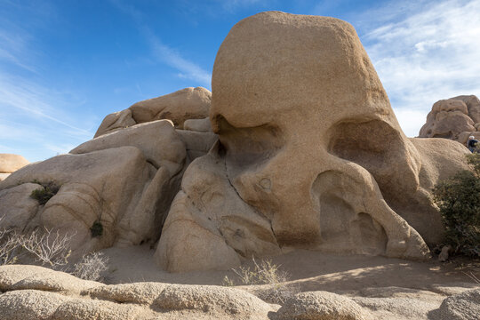 Skull-shaped Rock in Joshua Tree National Park