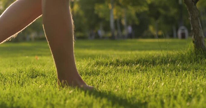 Barefoot legs walk on green grass at sunset park. Healthy legs step on soft lawn during golden hour. Young legs move slowly through summer nature. Grounding earthing wellness concept.