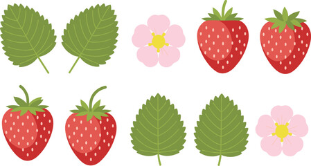 Fresh Strawberry Fruit Set with Red Berries, Green Leaves, and Pink Flowers Illustration Isolated on White Background Vector.