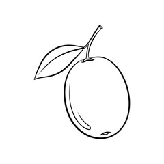Obraz premium Minimalist Mango Fruit Sweet Tropical Produce Outline Line Art Vector illustration