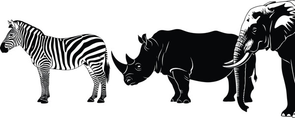 African safari wildlife silhouette set, zebra rhinoceros elephant animal collection, cad drawing flat vector illustration, isolated on white background, 20 words. © Mehedi