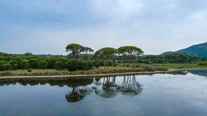 Obraz premium Jungle view