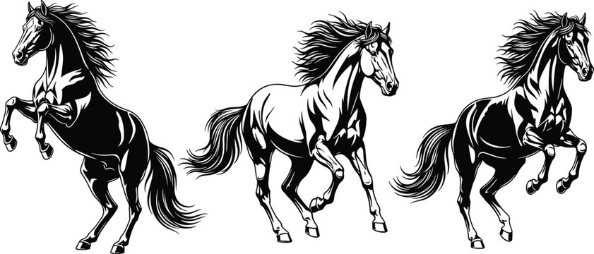 Wild horse silhouette set, stallion rearing and galloping collection, mustang action poses, cad drawing flat vector illustration, isolated on white