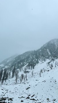 4K Vertical shot of Snowfall in winter forest at Chandanwari, Kashmir, India.. Beautiful landscape with snow covered fir trees and mountains. Winter fairytale landscape. Dark clouds in sky over Himala