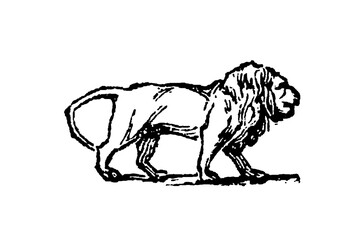 Lion, large feline, showcasing its powerful body, mane, and expressive face, old vintage illustration, 1897. © Timofeeff