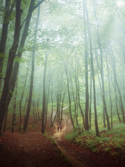 Fototapeta premium Couple Running With Dog in Misty Forest