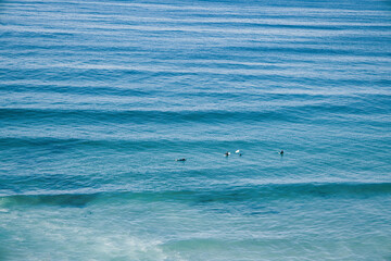Naklejka premium ocean views of Sand Dollar beach in Big Sur California