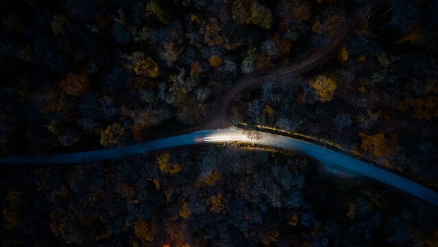 Aerial view of a road cutting through dark woods with a car's headlights blazing, contrasting with the autumn foliage, Novi Sad, Vojvodina, Serbia.