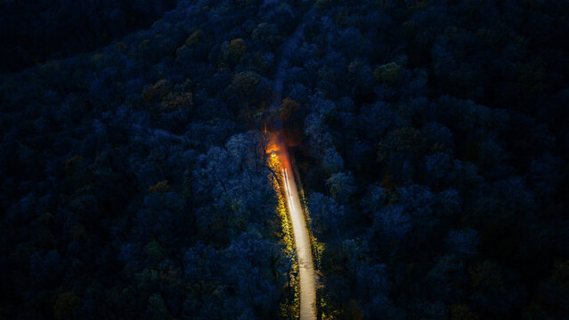 Aerial view of a road cutting through a dense forest, with a single light source casting an orange glow against the dark trees, Novi Sad, Vojvodina, Serbia.
