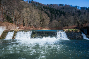 Rzeka Wisła w Ustroniu na Śląsku w Polsce zimą z kaczkami w wodzie. © Franciszek