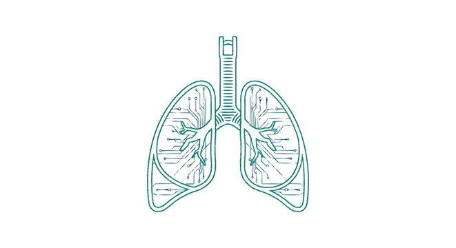 Detailed anatomical illustration of human lungs and trachea.