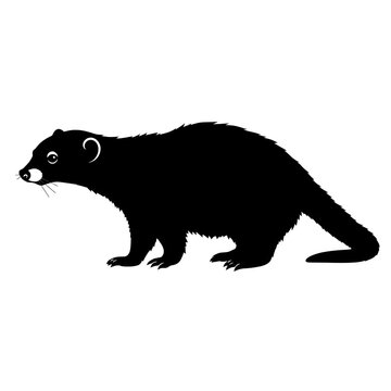 mongoose silhouette line art vector illustration with a white background