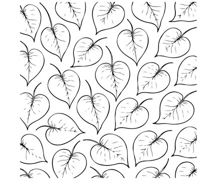Simple Bodhi leaf pattern line art