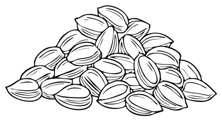 Hand drawn pile of sunflower seeds illustration isolated on white background
