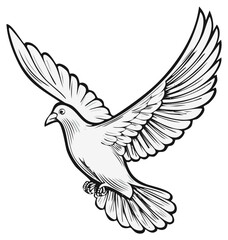 Obraz premium White dove flying with wings spread in a graceful line art illustration representing peace and freedom