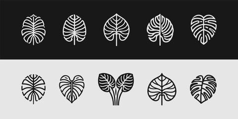 Stylized Tropical Broadleaf Plant Icons Collection Minimalist Design © Quivr
