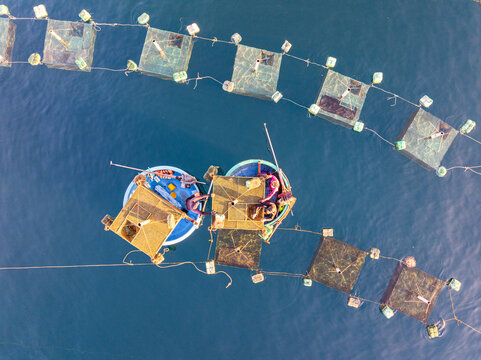 Aerial view of coracle boats and floating aquaculture cages create a geometric pattern on the turquoise waters, Tuy Hoa, Phu Yen, Vietnam.