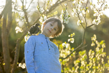 Fototapeta premium Cute sweet little blond child, toddler boy, playing with little chicks in the park, baby chicks and kid springtime