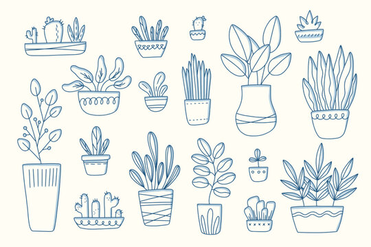 Outline Houseplants Line Art Set