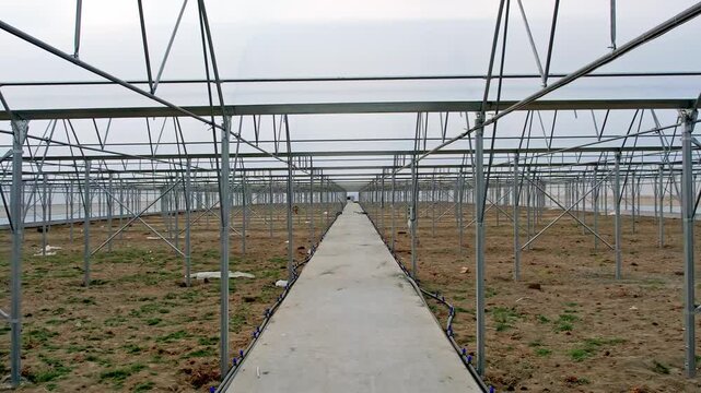 Interior View of Steel Greenhouse Structure Under Construction