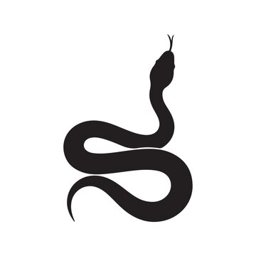 Black Snake silhouette vector illustration on white background