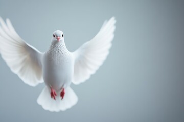 Fototapeta premium White Dove Symbol of Peace on Stone Pedestal