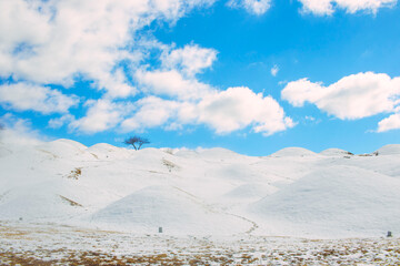 눈 내린 불로동 고분군
