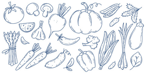 Large set of vegetables in doodle sketch style. Simple hand drawn silhouette organic nutrition. Vegetable clip art Mediterranean vibe. Vector elements