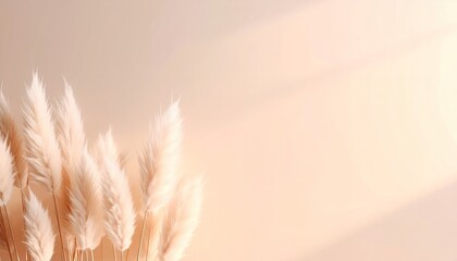 Delikatna trawa pampasowa na beżowym tle z miękkimi cieniami, minimalistyczna kompozycja do wnętrz i projektów graficznych w stylu boho.