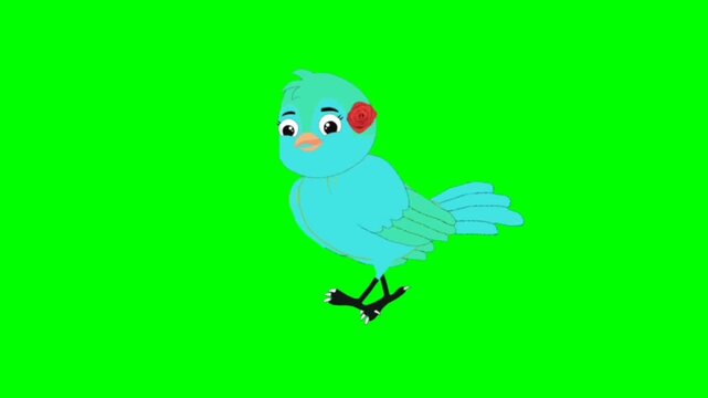 bird on a green background. Bird walking character. Animal walker character. Walking cartoon character with green screen video animation with chroma key. Bird green screen video.